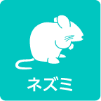 ネズミ