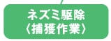 ネズミ駆除〈捕獲作業〉