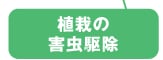 植栽の害虫駆除